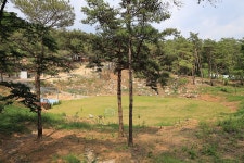 한반도 솔숲 쉼터 - 강원특별자치도 영월군 - 가볼만한곳 - 관광지랭킹