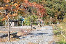 여울애 꽃물들인 - 강원특별자치도 철원군 - 가볼만한곳 - 관광지랭킹