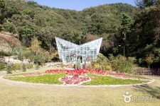 백야자연휴양림 (2026) - 충청북도 음성군 가볼만한곳 - 관광지랭킹