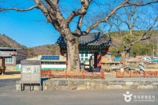 함안 대산리 석조삼존상 (2026) - 경상남도 함안군 가볼만한곳 - 관광지랭킹
