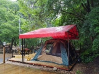 평창더위사냥축제 - 강원특별자치도 평창군 - 가볼만한곳 - 관광지랭킹