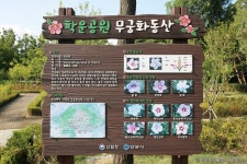 학운공원 (2026) - 경기도 안양시 동안구 가볼만한곳 - 관광지랭킹