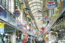 구룡포장 (3, 8일) (2026) - 경상북도 포항시 남구 가볼만한곳 - 관광지랭킹