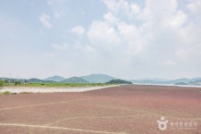Naver 搜索结果照片 2