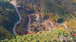 단양 보발재 (2026) - 충청북도 단양군 가볼만한곳 - 관광지랭킹