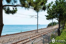 하평해변(동해) (2026) - 강원특별자치도 동해시 가볼만한곳 - 관광지랭킹