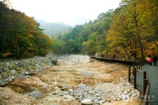 오색주전골 - 캠프위크