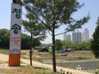 청송오리 - 인천광역시 남동구 - 가볼만한곳 - 관광지랭킹