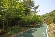 완도수목원 - 전라남도 완도군 - 가볼만한곳 - 관광지랭킹