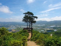 DMZ펀치볼둘레길 (2026) - 강원특별자치도 양구군 가볼만한곳 - 관광지랭킹