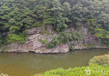 진안 평지리 이팝나무 군 - 전북특별자치도 진안군 - 가볼만한곳 - 관광지랭킹