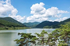 보현산댐 출렁다리 - 경상북도 영천시 - 가볼만한곳 - 관광지랭킹