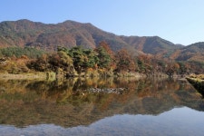 옥화9경 (2026) - 충청북도 청주시 상당구 가볼만한곳 - 관광지랭킹