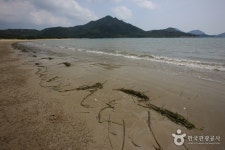 도초 시목해수욕장 - 캠프위크