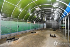 동명주말농장 - 경상북도 칠곡군 - 가볼만한곳 - 관광지랭킹