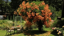 대장경테마파크 - 경상남도 합천군 - 가볼만한곳 - 관광지랭킹