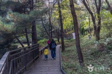 봉화산(서울) (2026) - 서울특별시 중랑구 가볼만한곳 - 관광지랭킹