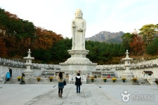 동화사(대구) - 대구광역시 동구 - 가볼만한곳 - 관광지랭킹