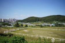รูปภาพผลการค้นหา Naver 4