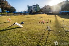 양지파인펫파크 (2026) - 경기도 용인시 처인구 가볼만한곳 - 관광지랭킹