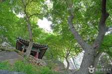 죽사(서산) - 충청남도 서산시 - 가볼만한곳 - 관광지랭킹