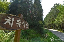 완주상관편백숲 - 전북특별자치도 완주군 - 가볼만한곳 - 관광지랭킹