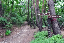인현왕후길 (2026) - 경상북도 김천시 가볼만한곳 - 관광지랭킹