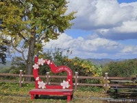 수운교도솔천 - 대전광역시 유성구 - 가볼만한곳 - 관광지랭킹