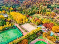 원적산공원 은행나무숲 (2026) - 인천광역시 부평구 - 가볼만한곳 - 관광지랭킹