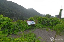 운교리 삼각주 퇴적층 관광 정보와 주변 관광 명소 및 근처 맛집 여행 정보