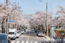 공마당둘레길 관광 정보와 주변 관광 명소 및 근처 맛집 여행 정보
