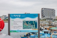 하리선착장(부산) 관광 정보와 주변 관광 명소 및 근처 맛집 여행 정보