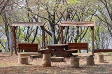 봉황산산림욕장 (2026) - 강원특별자치도 삼척시 가볼만한곳 - 관광지랭킹