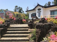 윈드1947 카트테마파크 - 제주특별자치도 서귀포시 - 가볼만한곳 - 관광지랭킹