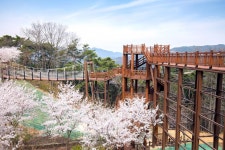 소백산자연휴양림 - 충청북도 단양군 - 가볼만한곳 - 관광지랭킹