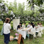 ㈜놀아본 - 전라남도 영광군 - 가볼만한곳 - 관광지랭킹