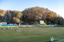 양지파인펫파크 (2026) - 경기도 용인시 처인구 가볼만한곳 - 관광지랭킹