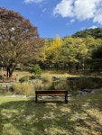 경상북도 산림과학박물관 - 경상북도 안동시 - 가볼만한곳 - 관광지랭킹