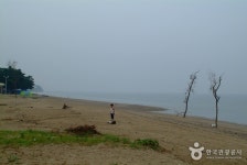 장봉도 옹암해변 - 캠프위크