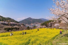 남해 노량공원 (2026) - 경상남도 남해군 가볼만한곳 - 관광지랭킹