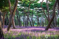 이항복선생묘 - 경기도 포천시 - 가볼만한곳 - 관광지랭킹