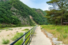 오천솔밭유원지 관광 정보와 주변 관광 명소 및 근처 맛집 여행 정보