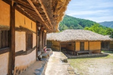 Ảnh kết quả tìm kiếm Naver 6