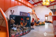 치킨체험 테마파크 땅땅치킨랜드 관광 정보와 주변 관광 명소 및 근처 맛집 여행 정보