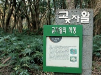 가마오름 - 제주특별자치도 제주시 - 가볼만한곳 - 관광지랭킹