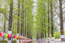 송상현광장 관광 정보와 주변 관광 명소 및 근처 맛집 여행 정보