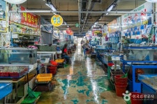 무창포 수산물시장 쇼핑 정보와 주변 관광 명소 및 근처 맛집 여행 정보