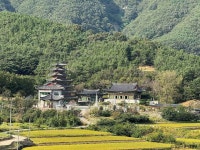 밀양 영산정사 관광 정보와 주변 관광 명소 및 근처 맛집 여행 정보