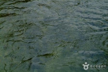 백천계곡(대현천) - 캠프위크