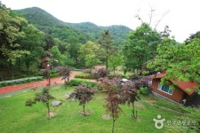 고궁 - 경상북도 칠곡군 - 가볼만한곳 - 관광지랭킹